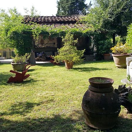Agriturismo Podere I' Caldino Troghi エクステリア 写真