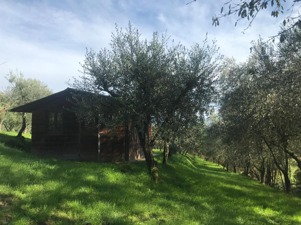 Agriturismo Podere I' Caldino Troghi エクステリア 写真